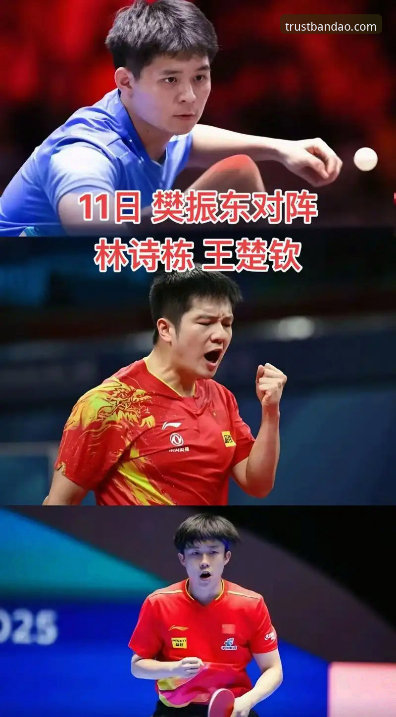 半岛体育苹果版 世乒赛男团小组赛深度评测:中国男乒三将表现全解析,林诗栋应变能力获高分